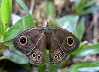 DSC03227a